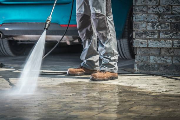 Best Roof Washing  in Kingsley, IA